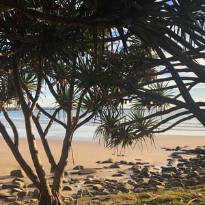 Meet your Posher, Nicky